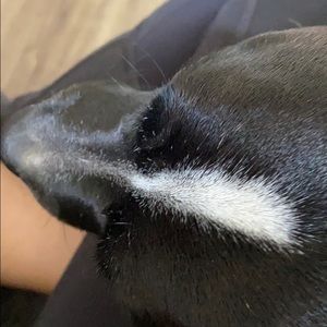 Meet your Posher, Lina